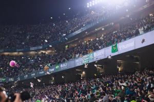 玩具雨！貝蒂斯傳統(tǒng)節(jié)目：今年球迷向主場投擲超20000個毛絨玩具