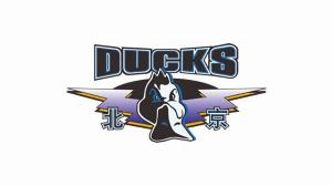 北京男籃正在接觸此前在上海效力過的鋒線球員詹姆斯-農(nóng)納利