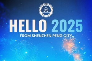告別過去，迎接新的一年！2025，讓我們一起期待更多