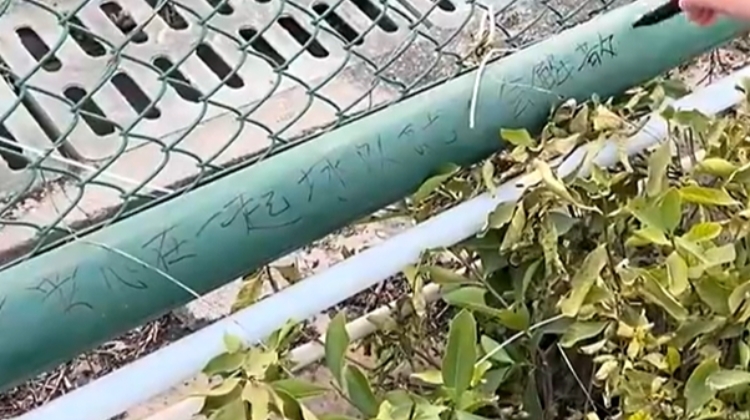 球迷聚集在廣州隊(duì)基地外唱歌&留言：只要心在一起球隊(duì)就不會(huì)解散