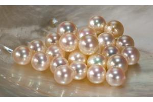 ??暢所欲言！誰是最佳陣容最大遺珠？