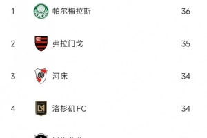 世俱杯球隊(duì)犯規(guī)榜：帕爾梅拉斯、弗拉門戈、河床3支南美隊(duì)排前三