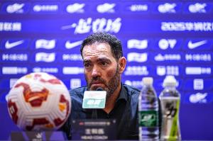 亞泰最后4輪賽程：客戰(zhàn)河南、津門虎、西海岸，主場對陣國安