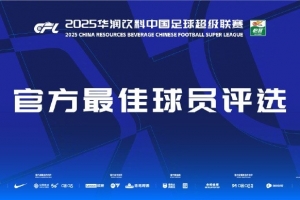 中超第24輪最佳球員候選：瓦科、劉若釩、哈達(dá)斯、鐘義浩、茹子楠
