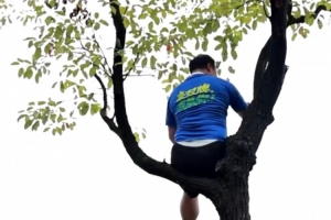 湘超聯(lián)賽推出“掛票”，球迷可坐在樹上看球但禁止“自掛東南枝”