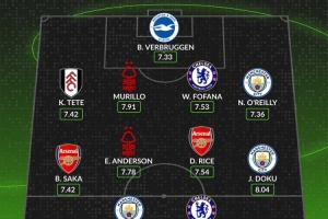 whoscored英超11月最佳陣：安德森、多庫(kù)領(lǐng)銜，哈蘭德、賴斯在列