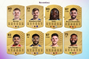 英超11月最佳球員候選：多庫、B費、里斯·詹姆斯、賴斯在列