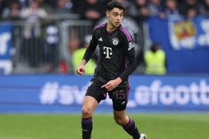 埃貝爾：帕夫洛維奇似乎是肌肉拉傷，希望他問題不大但我沒法診斷