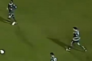 幼年馬兒是多么的飄逸