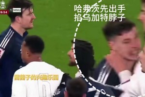 哈弗茨出手掐了烏加特脖子，加納喬加入戰(zhàn)斗干倒哈弗茨??