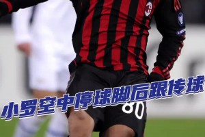 哪怕只剩巔峰60%的功力，小羅的一招一式仍盡顯才華??