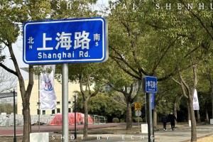 球迷視角，帶你沉浸式體驗中超2025賽季上海申花出征儀式