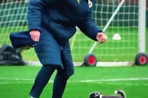 萌??！穆帥抱著小哈士奇來(lái)球場(chǎng)訓(xùn)練