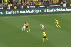 我就知道！聚勒這一下，原諒我不厚道的笑了！