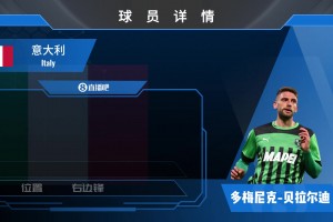 貝拉爾迪球員集錦：邊路中路皆可踢的前場攻擊手