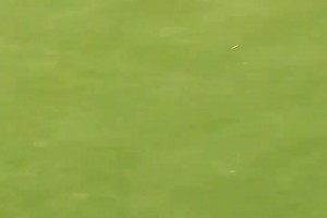 瓜迪奧拉打高爾夫一桿進洞，現場找錄像：錄了沒，我要發(fā)推特！